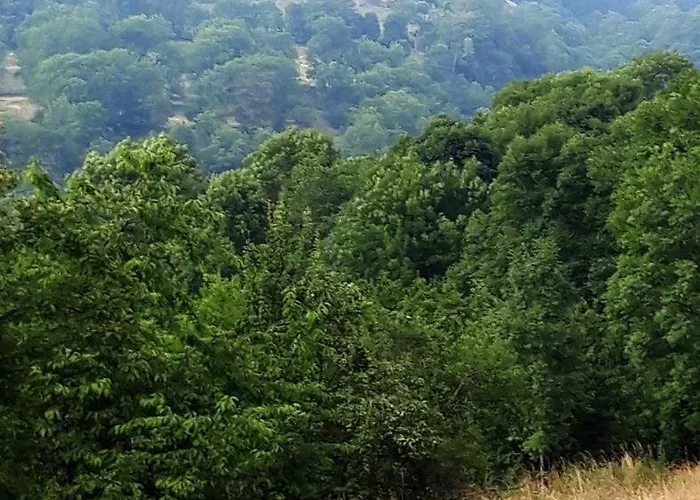 La Grange Loudervielle Louron Pyrenees